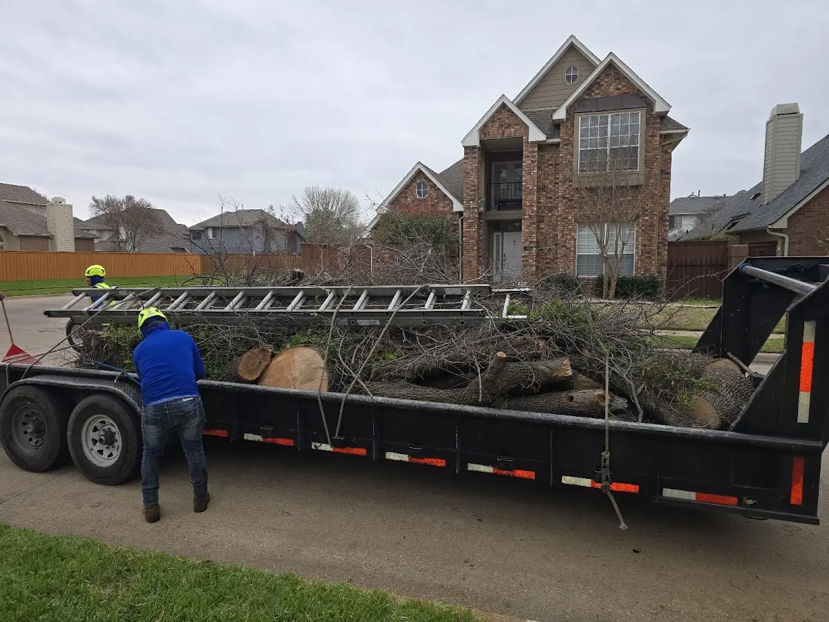 Expert Crown Reduction with proper safety equipment in Baytown